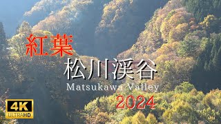 【美しい紅葉】2024信州・松川渓谷／雲海／北アルプス