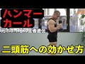 【ハンマーカール】上腕二頭筋の長頭に効かせるには片方ずつが効果的!重量、回数なども解説