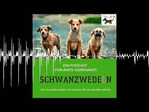 85 Der Hundevideograf - Schwanzwedeln