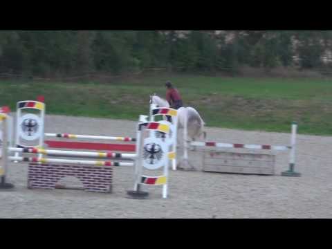 Sportpferde Matthias Keil - Sugar Kiss