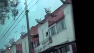 Rattus: Massapsykoosi (Svart Records 2013)