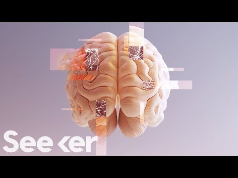 我們離一張完整的人腦地圖有多近？ (How Close Are We to a Complete Map of the Human Brain?)