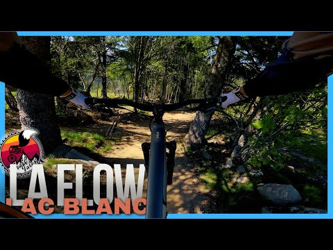 La Flow Trail Full Run | Bikepark Lac Blanc MTB // Santa Cruz 5010 v5