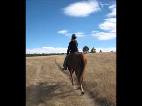 Home is Where Your Horse is