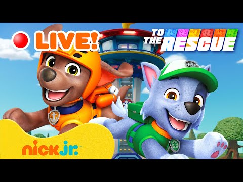 Capture d'écran du flux en direct de la chaîne de télévision en ligne Nick Jr