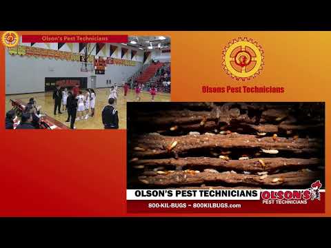 Winner Warriors vs SF Warriors (BBB)