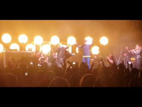 VNM Zeus GRUBSON Pawbeats Orchestra  Na BIS w A2 Wrocław Walentynki 2020