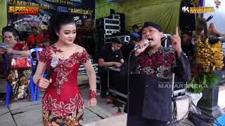 Download lagu budreg dan sakit kepala viral ditiktok mp3
