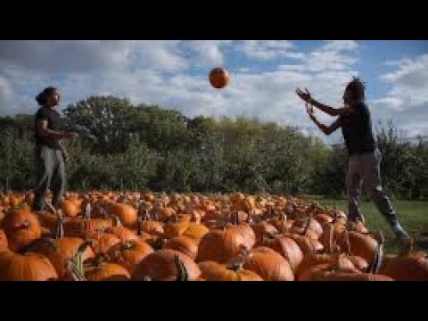 Video thumbnail for Beat My Grandma With a Pumpkin