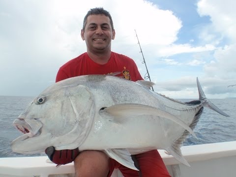 tropical fishing mitsio   carangue de plus de 40 kg