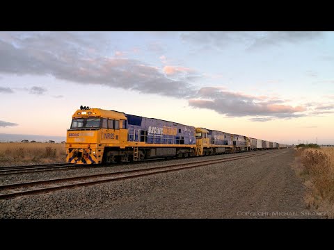 6PM7 Pacific National Container Train (21/2/2022) - PoathTV Australian Railways