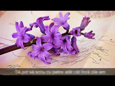 Când timpul se înnoieste-autor- Suflet Pereche Maria Ioana MIM