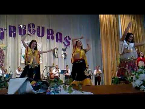 Concert Aniversar - Ansamblul Struguraș 65 ani activitate in or. Ungheni (Struguras) 2011 [5]