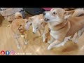 All 3 Playing And Havin Fun Good Times