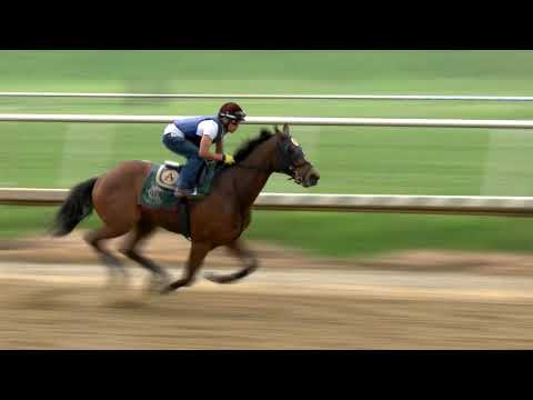 Something Awesome in entered the  Pimlico Special