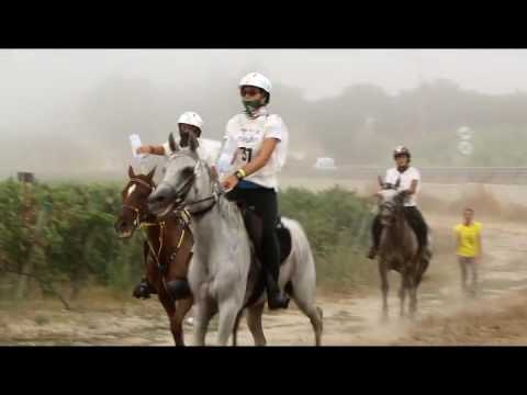 Meydan FEI European Endurance Championship for Young Riders&Juniors 2016 part 2 1