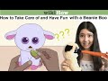 How To Take Care Of A Beanie Boo According To Wikihow