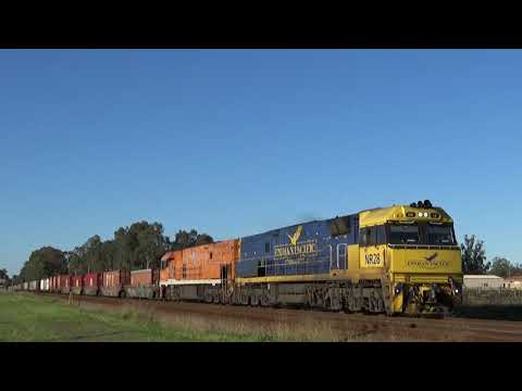 NR28 and NR30 on 1PS6 freight Herne Hill