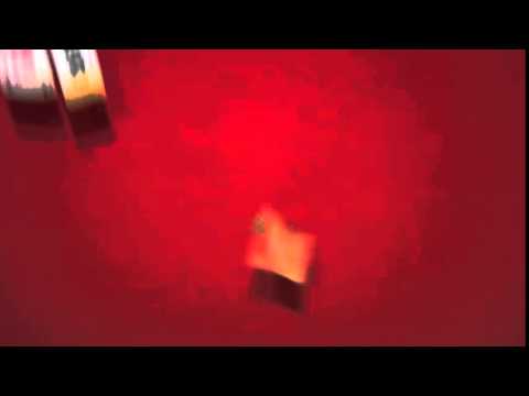 Pivac vikend akcija od 13.-15.11.2015.