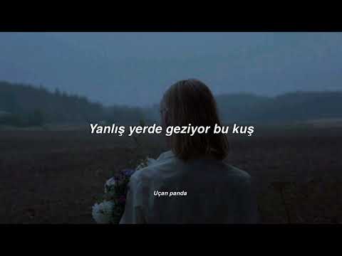 Göksel - Yalnız Kuş (sözleri) | senin gökyüzünde benim yerim yoktu