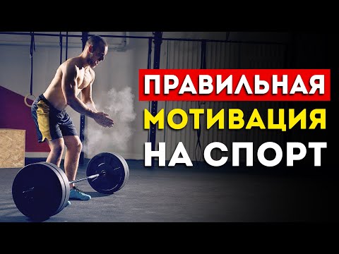 Вот как надо мотивировать себя на тренировки (Смотреть обязательно)