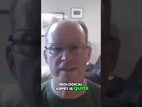 Salt Sea Miracle  From Desert to Ecosystem Revival