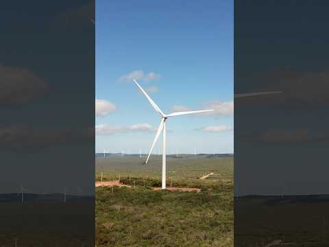 Conhecendo o Parque Eólico Campo Largo em Umburanas | Um dos Maiores da Bahia