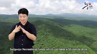 서귀포자연휴양림