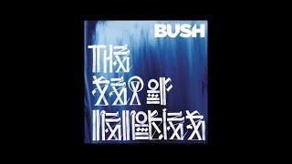 Bush - Be Still My Love