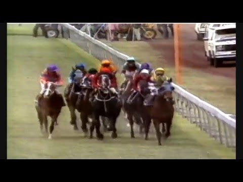 1984 VRC Derby Day _ Dalgety Hcp _ Wakeful Stakes