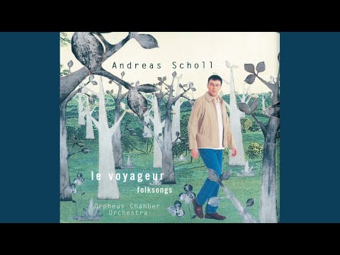 Traditional: The Salley Gardens