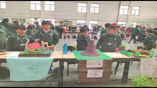 Delhi Public School Video