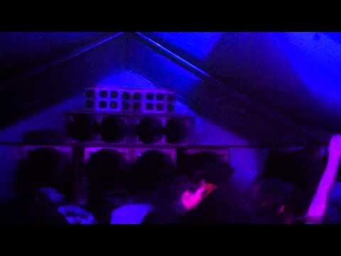 Bassline Soljah playing Echo ranks - Freedom Fighter @L'autre Ailleurs 3