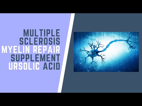 Myelin Repair And Regrowth Supplement Ursolic Acid