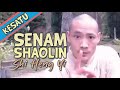 Senam Sehat Ala Shaolin Aktifkan Seluruh Sendi Senam Sehat Senam Tiap Pagi