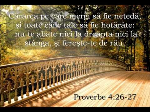 Grup eliezer - Vino Doamne