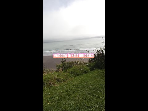 Nara Nui Beach (Hamilton)