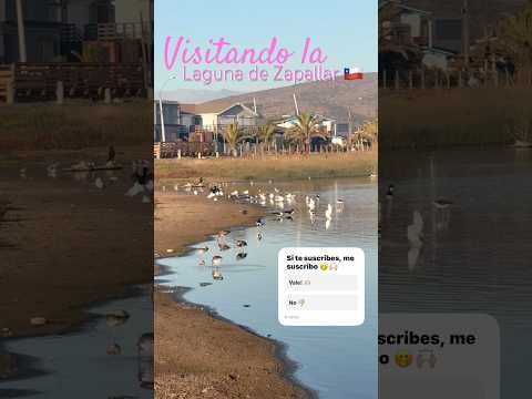 Laguna de Zapallar, Chile #viral #like #valparaiso #paisajes #lugares #chile #chilenos #laguna