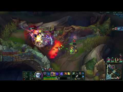 The best ornamental in China Zed