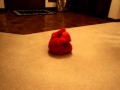 Tickle Me Elmo 3
