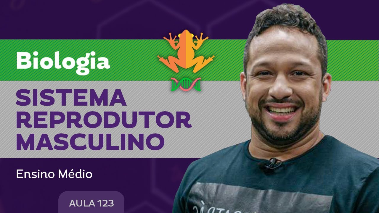 Sistema reprodutor masculino ​- Biologia - Ensino Médio