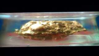 He-Man and The Holy Mountain