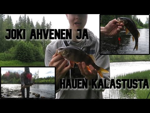 KOSKIKALASSA KIIMINKIJOELLA