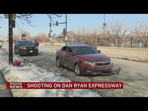 State police investigating shooting on Dan Ryan Expressway