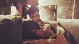 The Weeknd - The Birds Pt. 1 [Outro]