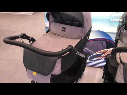 Миниатюра изображения товара Детская универсальная коляска Expander Exeo 2 в 1 (05/Carbon)