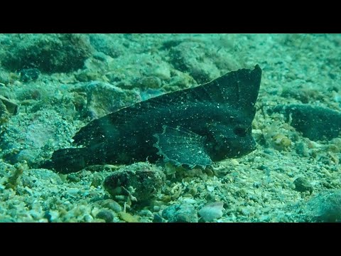 コンテンポラリー-テラス-ソファ-コーナー石-構造