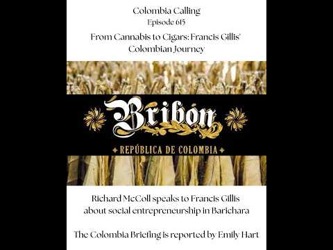From Cannabis to Cigars: Francis Gillis' Colombian Journey