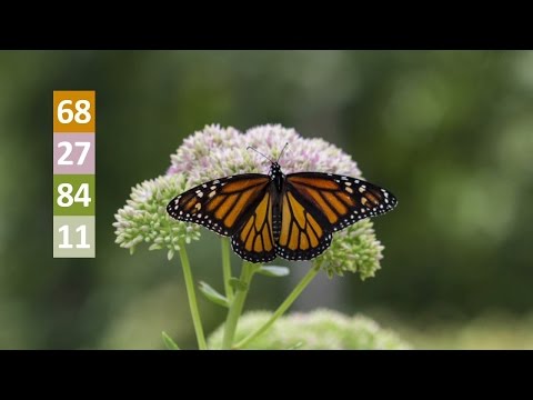 9 Cuts Every Video Editor Needs to Know