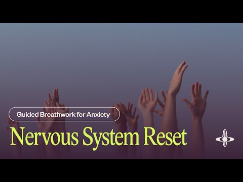 Nervous System Reset | Guided Breathwork (22 minutes)